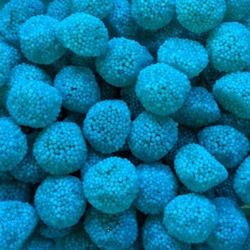 Mûres bleu (100g)